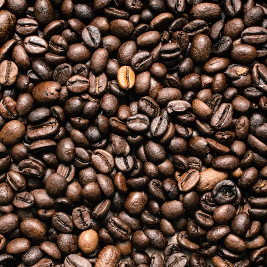 Jungle Nut Coffee