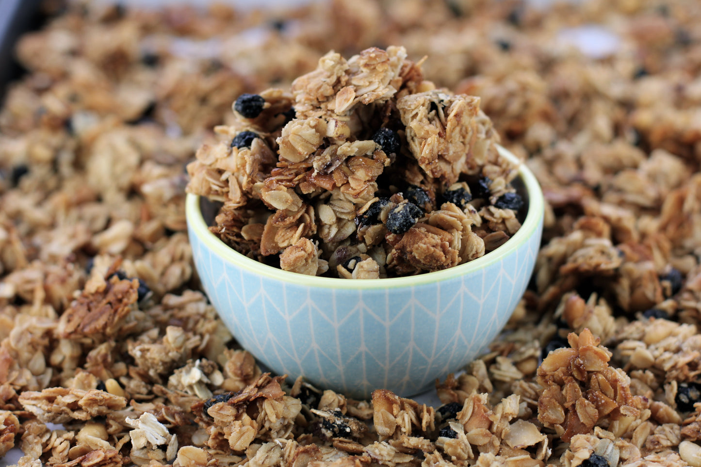 Blueberry Flax Granola