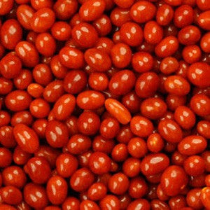 Boston Baked Beans