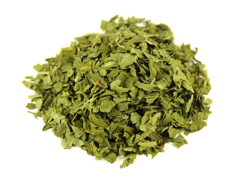 Cilantro