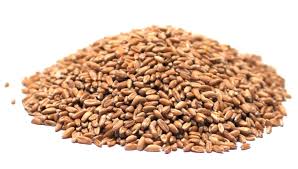 Organic Farro