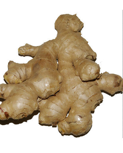 Bickford Ginger Oil