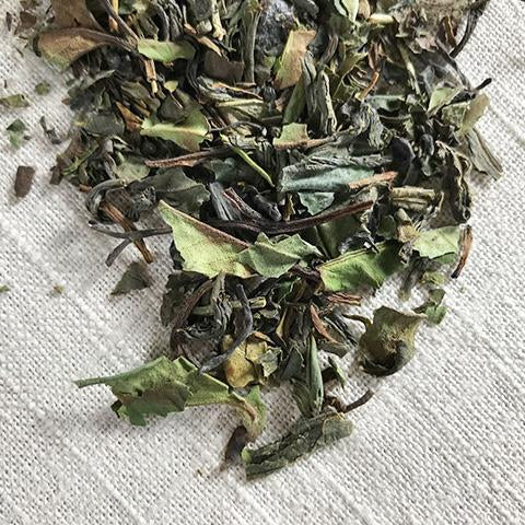 Green and White Fusion Tea