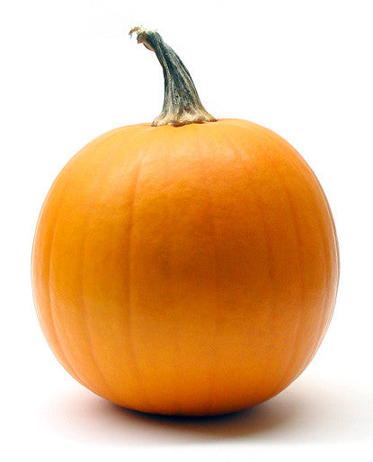 Bickford Pumpkin Oil