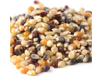 Rainbow Popcorn Kernels