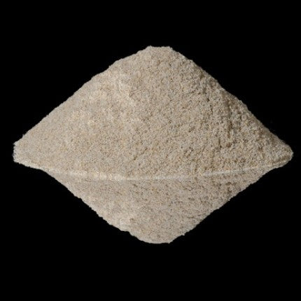 White Rye Flour
