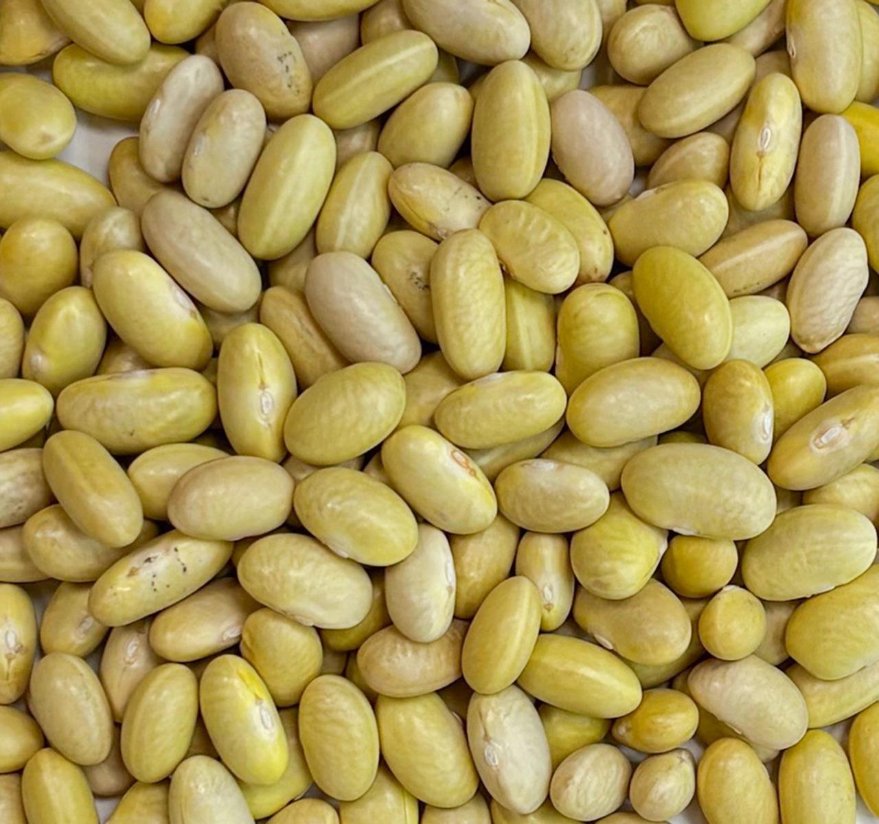 Mayocoba Beans