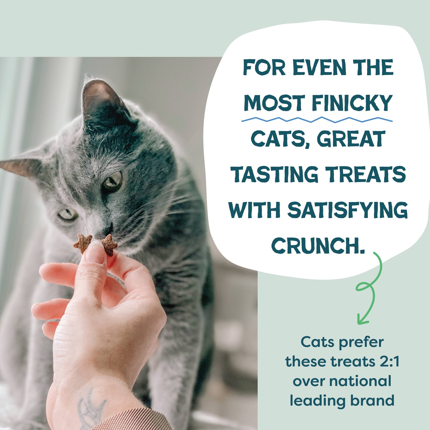 Shameless Catnip N Chill Crunchy Cat Treats - Chicken