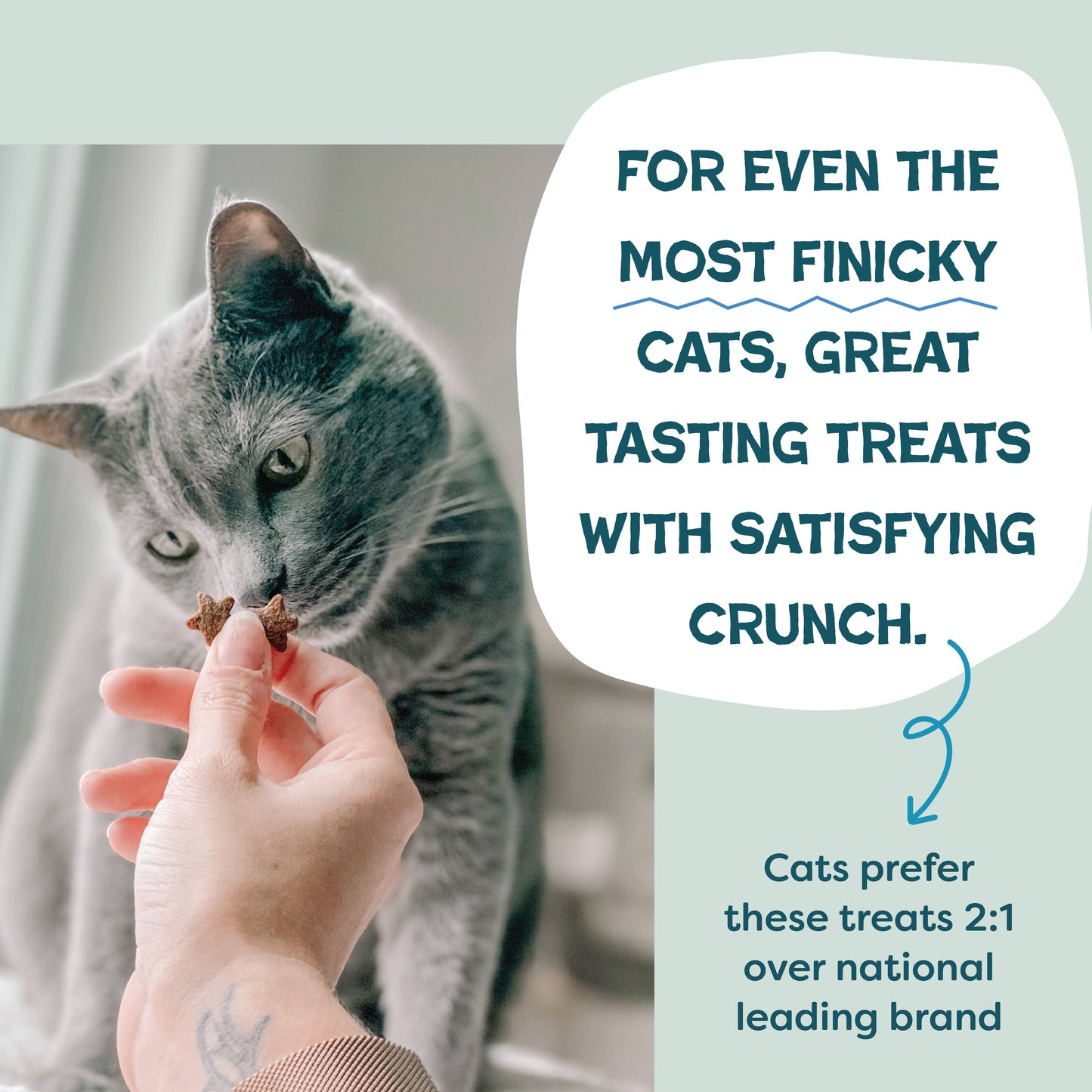 Shameless Catnip N Chill Crunchy Cat - Tuna
