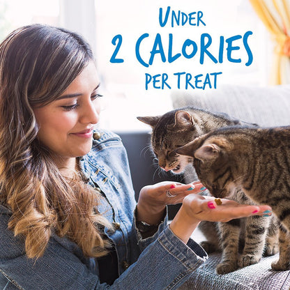 Fruitables Chicken & Blueberry Flavor Crunchy Cat Treats