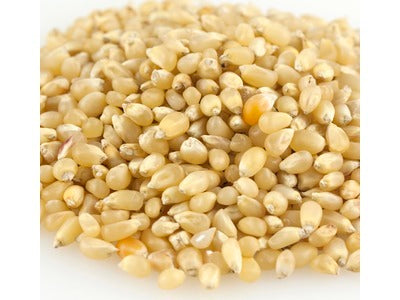 Baby White Popcorn Kernels