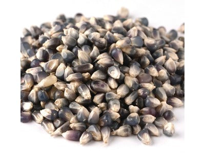 Black Jewel Popcorn Kernels