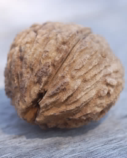 Black Walnut Flavor
