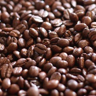 Kilimanjaro Premium Java Blue Coffee