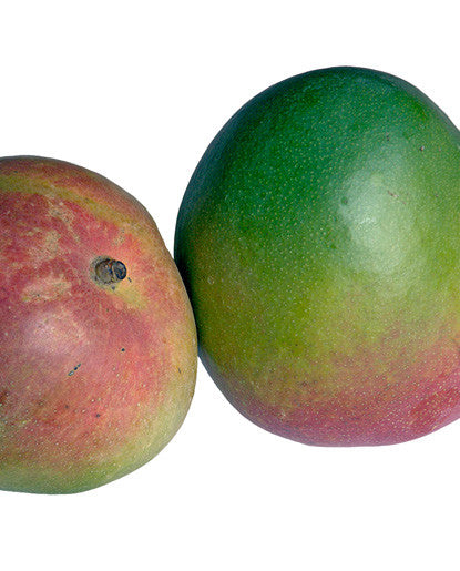 Mango Flavor