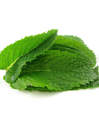 Bickford Mint Flavor