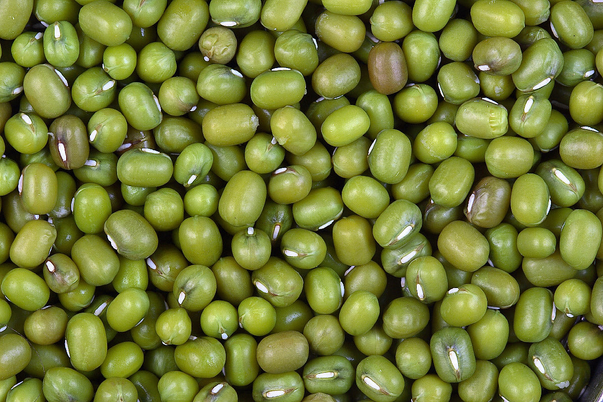 Organic Mung Beans