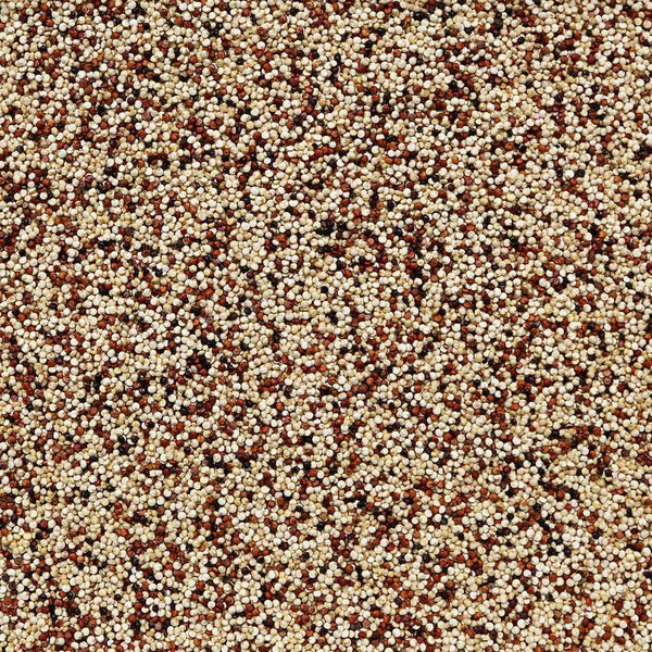 Tri color Quinoa Organic