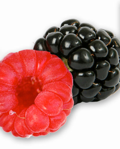 Bickford Raspberry Flavor