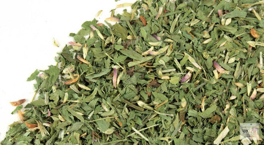 Red Clover Blossom Tea
